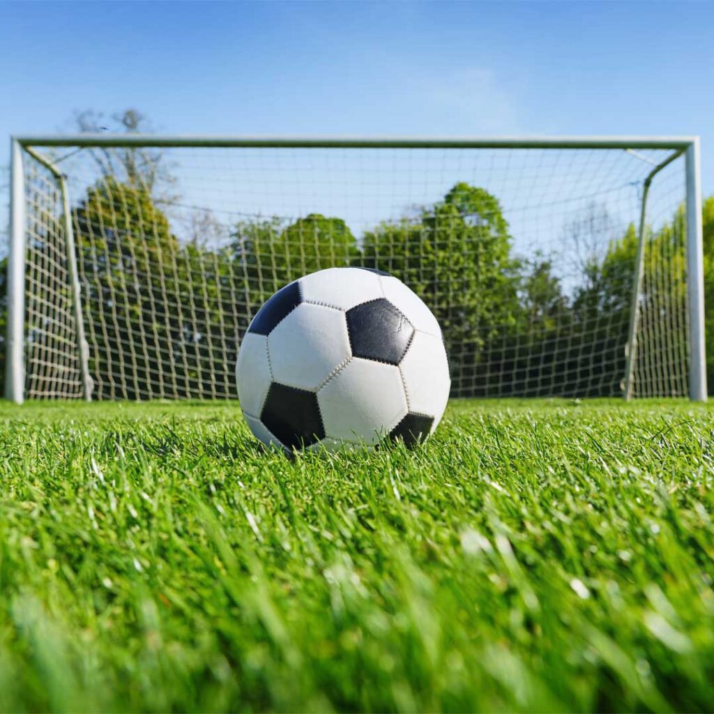 municipalites-institution