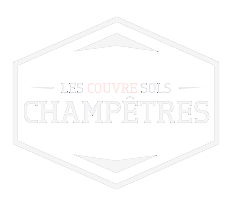 logo-white